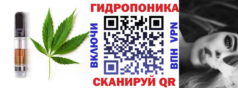 Canna-Cookies конопля  Новошахтинск 