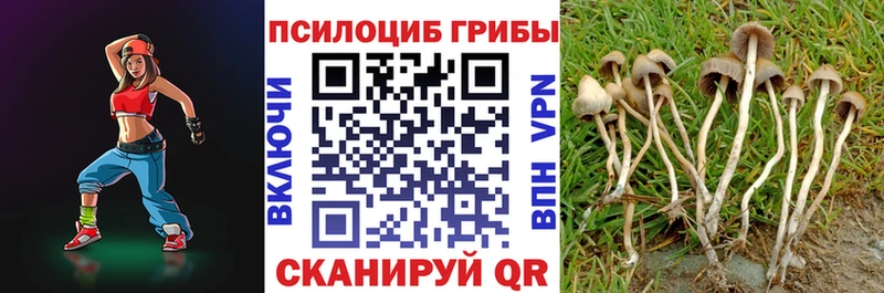 Галлюциногенные грибы Cubensis  закладка  Новошахтинск 